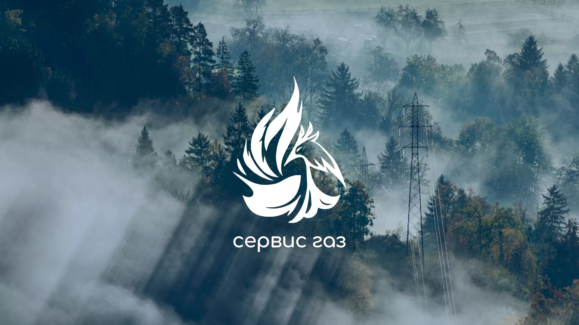 Создание сайта компании «Сервис газ» в Сосновом Боре