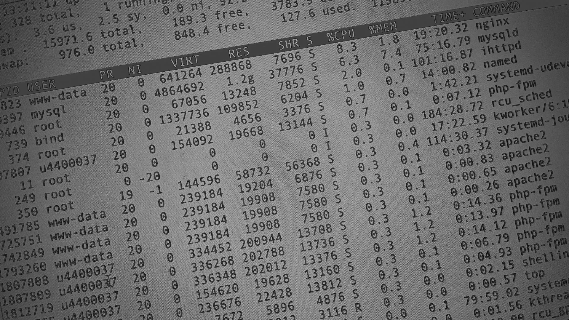 Настройка сервера в Сосновом Боре